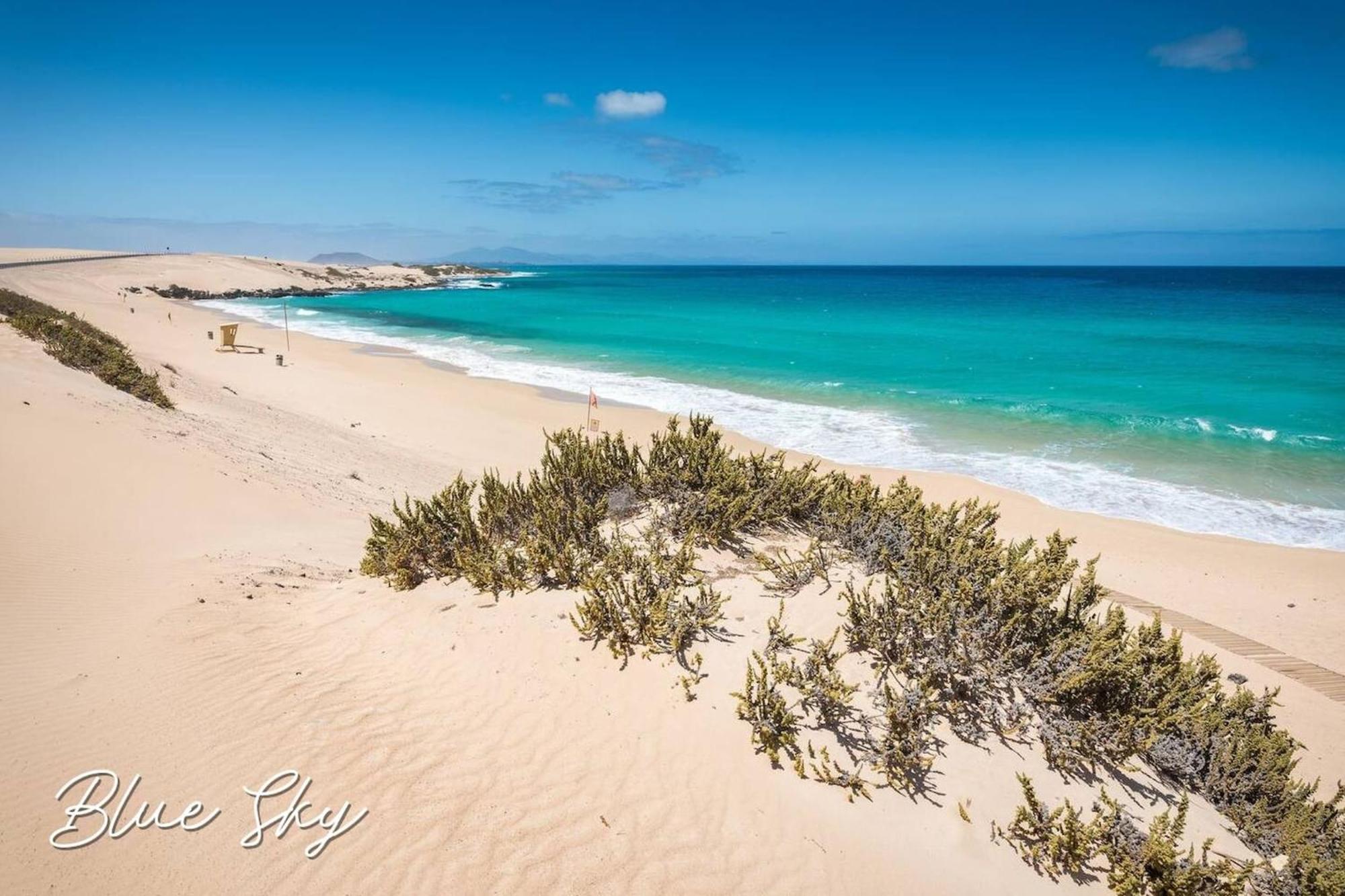 Corralejo Sun 335 Blue Sky By Rentalfue Esterno foto